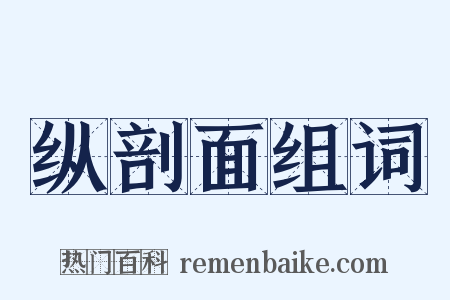 纵剖面组词是什么意思的图片
